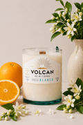 Volcan Blanco Tequila