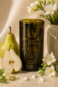 Lux Vitis 2015